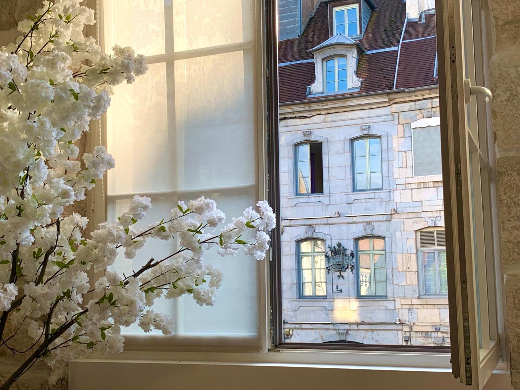 Les Fabuleux Appartements Du Coeur De Ville - Place Victor Hugo Безансон Екстер'єр фото
